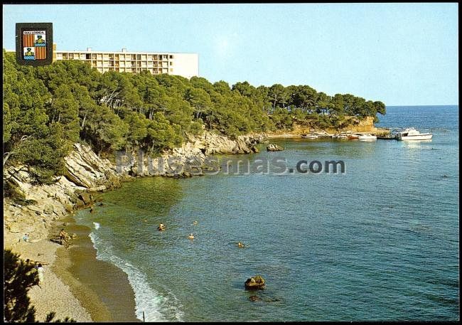 Costa de los pinos (mallorca)