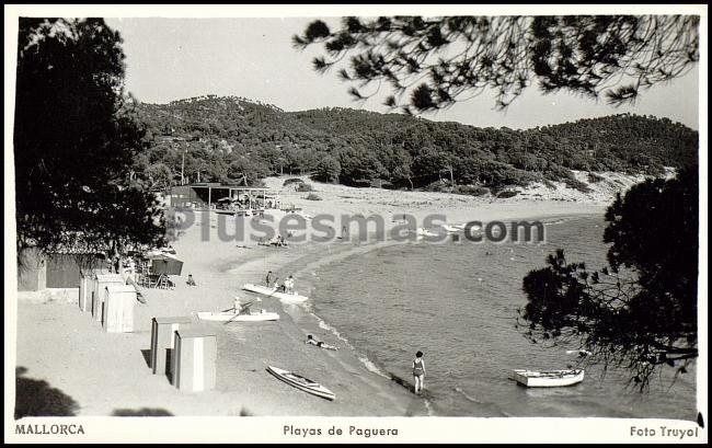 Paguera (mallorca)