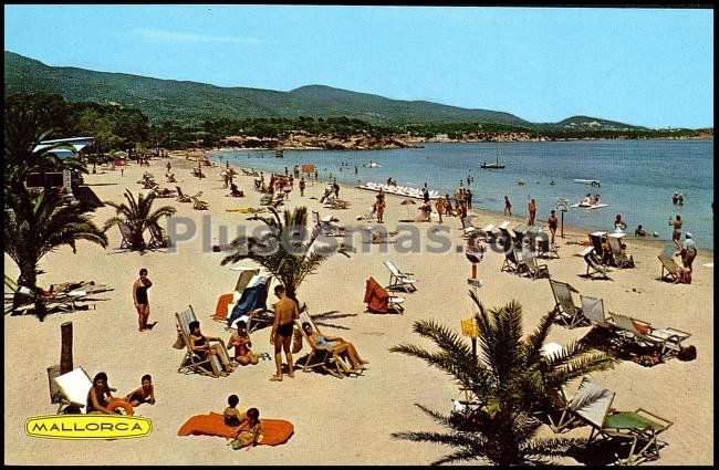 Palma nova (mallorca)