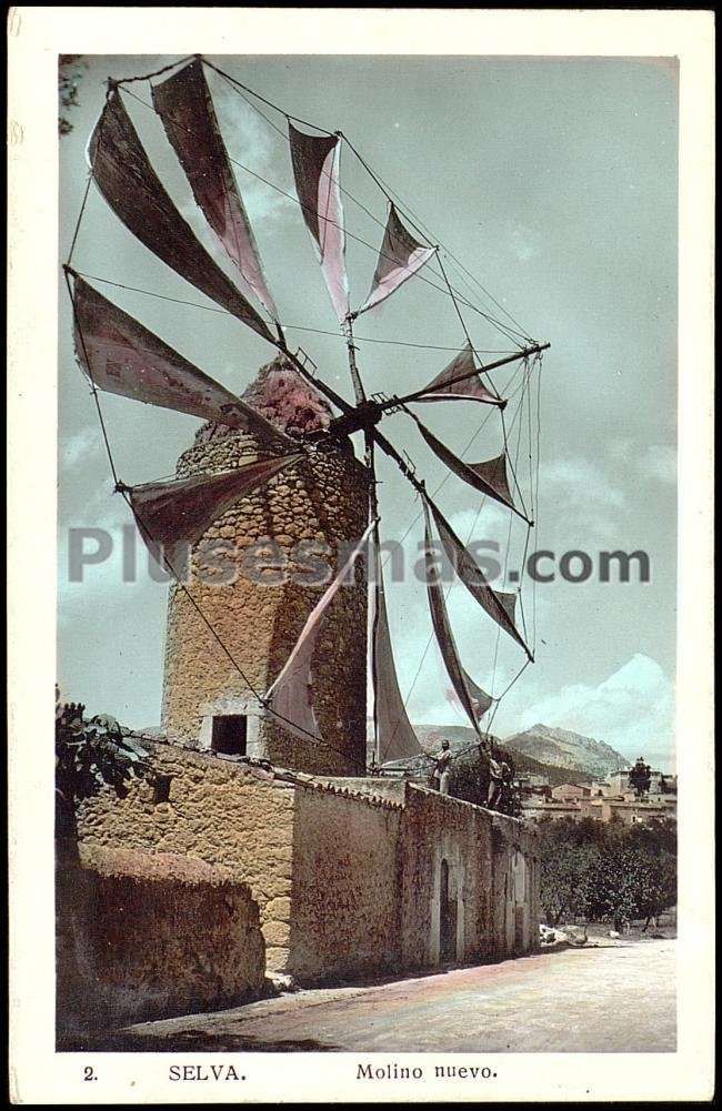 Selva (mallorca)