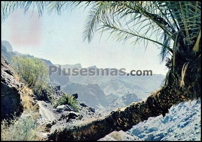Barranco de la aldea de san nicolás (las palmas)