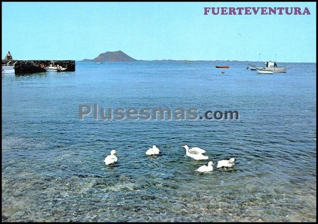 Corralejo. al fondo la isla de lobos. fuerteventura (islas canarias)