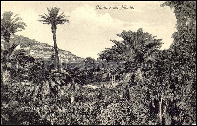 Camino del monte en el puerto de la luz o puerto de las palmas de gran canaria.