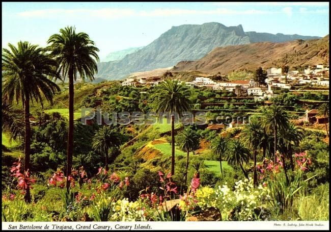 San bartolomé de tirajana (las palmas)