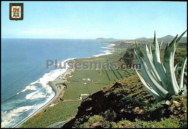 Costa de san felipe de santa maría de guía (las palmas)