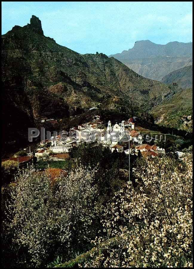 Almendros en flor y roque bantayga dentro de la caldera volcánica de tejeda (las palmas)