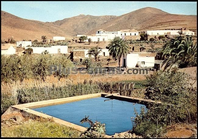 Vista de toto en fuerteventura (islas canarias)