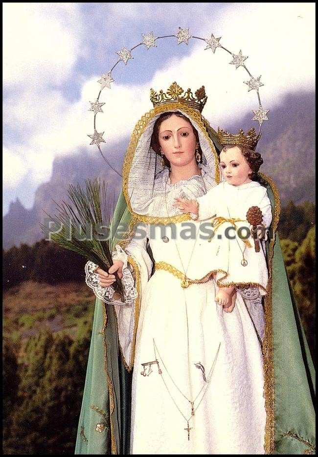 Imagen de nuestra señora de el pino en el paso de la palma (santa cruz de tenerife)