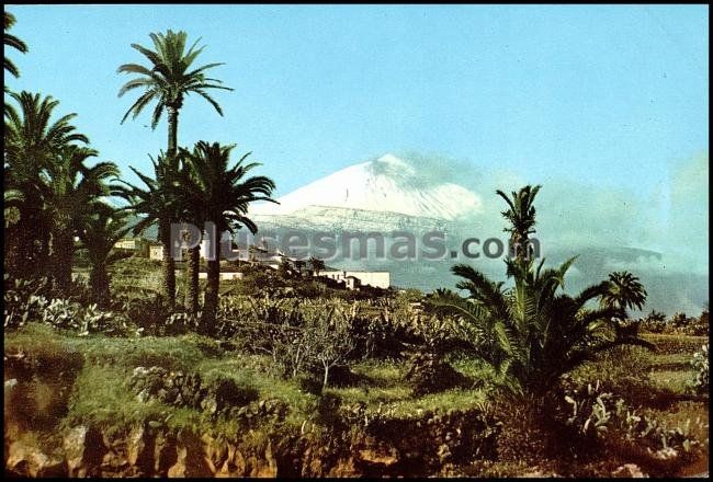 La victoria de acentejo, al fondo el teide (santa cruz de tenerife)