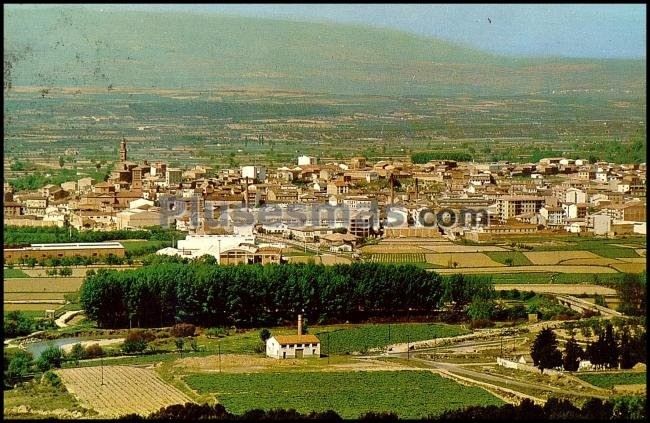 Vista general de san adrian (navarra)