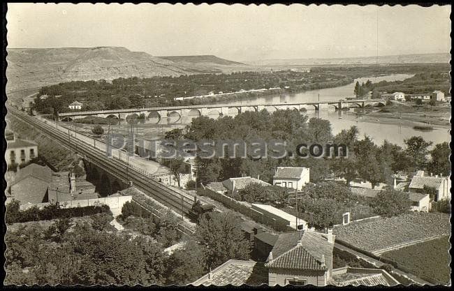 Rio ebro y la mejana en tudela (navarra)