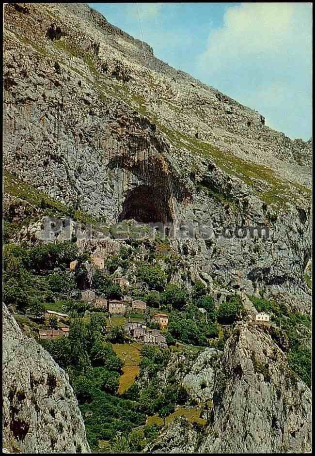 Camarmeña en los picos de europa (asturias)