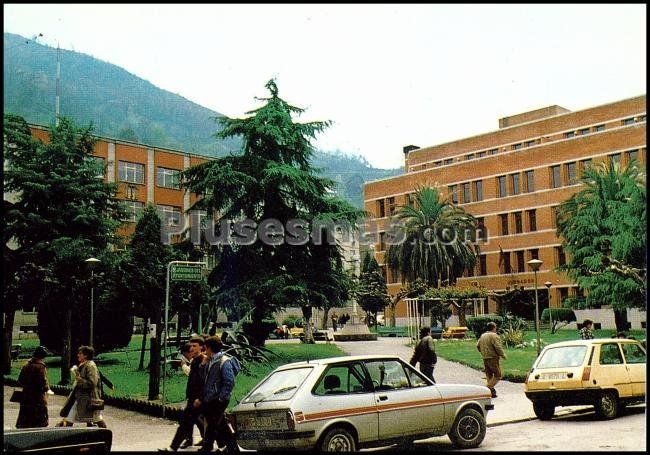 Jasdines del ayuntamiento de mieres (asturias)
