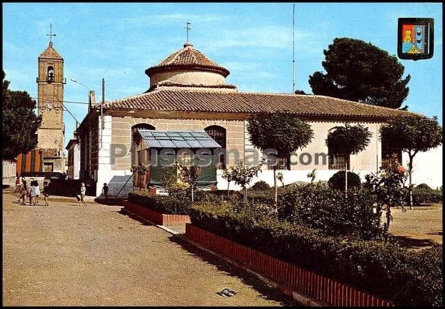 Casa consistorial y torre de la iglesia del rosario en torre pacheco (murcia)