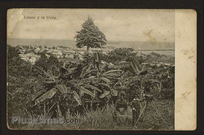 Foto antigua de LIMÓN