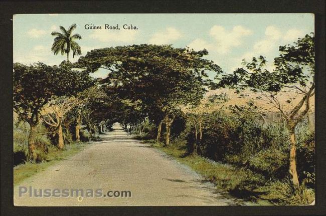 Foto antigua de PAISAJES CUBANOS