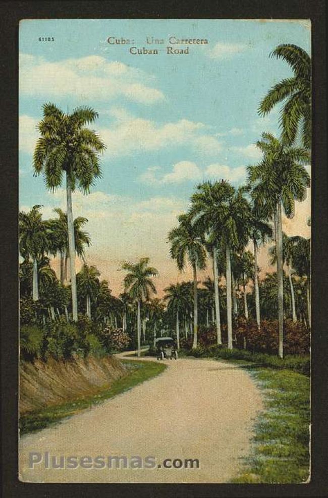 Foto antigua de PAISAJES CUBANOS