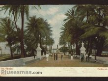 Foto antigua de VERA CRUZ