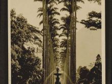 Foto antigua de RIO DE JANEIRO