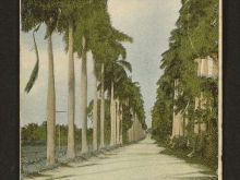 Foto antigua de PAISAJES CUBANOS