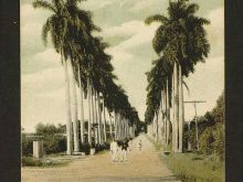 Foto antigua de PAISAJES CUBANOS