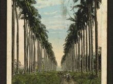 Foto antigua de PAISAJES CUBANOS