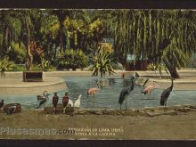 Foto antigua de LIMA
