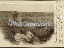 Niños en el campo de segovia