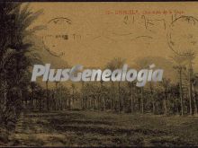 Ver fotos antiguas de Vista de ciudades y Pueblos de ORIHUELA