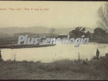 Ver fotos antiguas de parques, jardines y naturaleza en JALPI