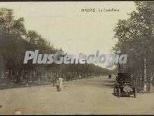 La Castellana de Madrid