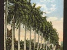 Foto antigua de CIUDAD