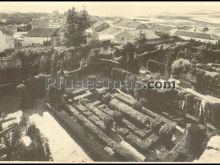 Ver fotos antiguas de parques, jardines y naturaleza en VISO DEL MARQUÉS