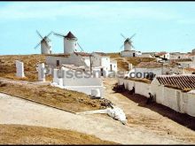 Ver fotos antiguas de parques, jardines y naturaleza en CAMPO DE CRIPTANA