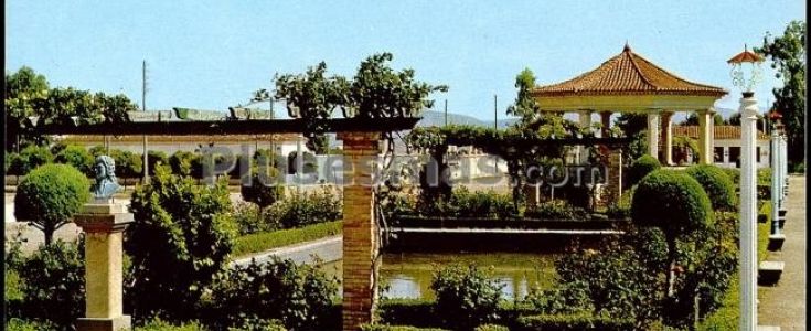 Fotos antiguas de HELLÍN