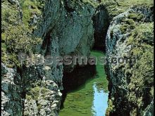 Ver fotos antiguas de parques, jardines y naturaleza en CÁRMENES
