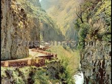 Desfiladero de los bellos en el valle de sajambre (picos de europa, león)