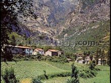 Cain con los picos de europa al fondo (león)