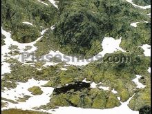 Ver fotos antiguas de parques, jardines y naturaleza en NAVA DEL BARCO