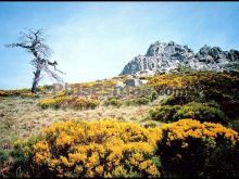 Ver fotos antiguas de parques, jardines y naturaleza en EL ARENAL