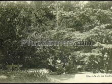 Glorieta de los cedros (ávila)