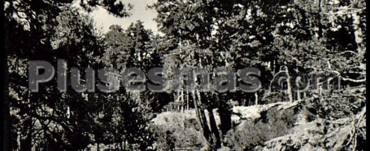 Fotos antiguas de NAVARREDONDA DE LA SIERRA