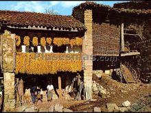 Ver fotos antiguas de tradiciones en SAJA