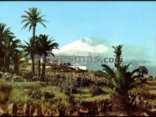 La victoria de acentejo, al fondo el teide (santa cruz de tenerife)