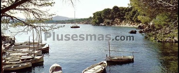 Fotos antiguas de COSTA DE LOA PINOS