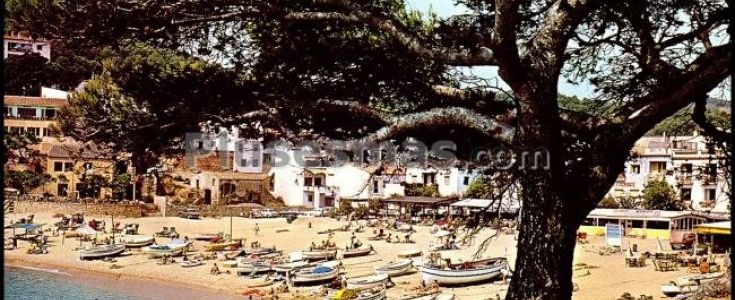 Fotos antiguas de TAMARIU