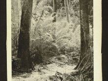 Foto antigua de VARIOS