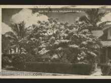 Foto antigua de VARIAS
