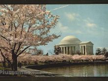 Foto antigua de WASHINGTON