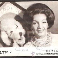La Perrita Marilín
